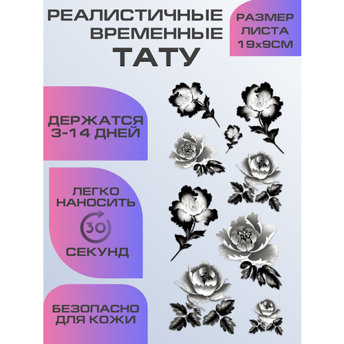 ������ ������ ���� ���������� ��������������, ��������� ���� ����