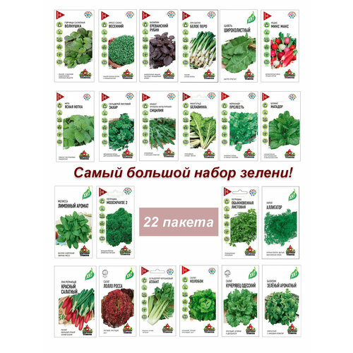 ������ ������ ������, ����� ����� ������, �������, �����, �����, �������� � �� ����