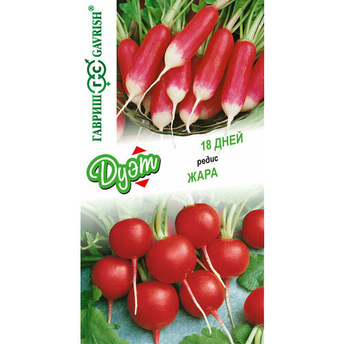 ������ ������ ������ ����� 18 ���� 2,0 �+���� ����� 2,0� ������ (������) ���� ����