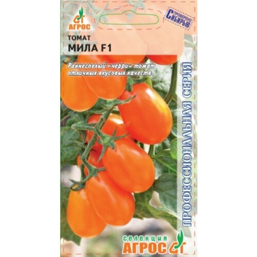 ������ ������ ������ ����� ���� F1 ����� 5�� ����� ������ (�����) ����