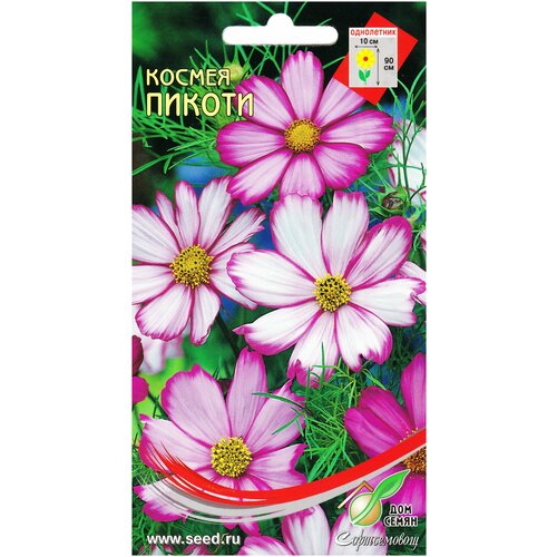 ������ ������ ������ ������, 50 ����� ����