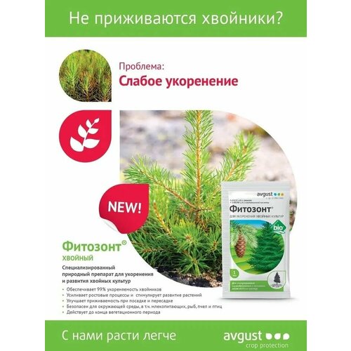 ������ ������ �������� ������� 1�� � 5 ��������/ �������� ��� ���������� ������� ����� (������) ����