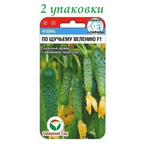 ������ ������ ������ �� ������� ������� F1 (7��) 