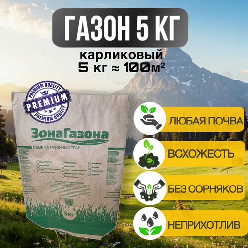 ������ ������ �������� �����, ������, ����������, ����� ���������� (��� �������) 5�� ����