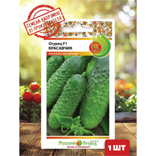 ������ ������ ������ F1 ��������� ����