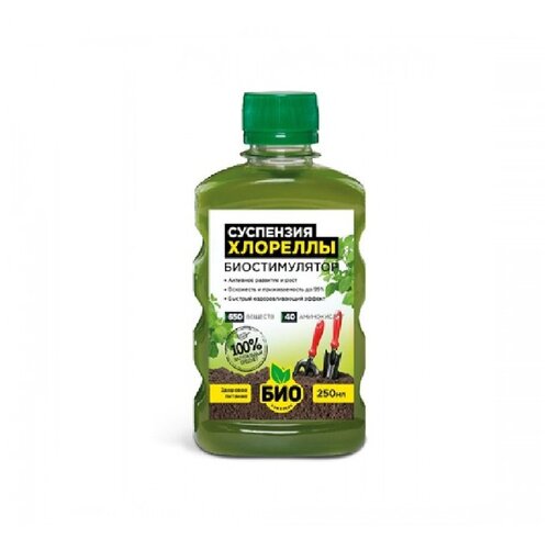 ������ ������ ��������� ���-�������� ��������� ��������, 0.25 �, 280 �, 1 ��. ����