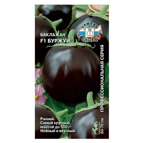 ������ ������ ������ ����� �������� ������ F1 ����