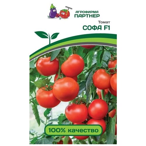 ������ ������ ������ ����� ���� F1 /��������� �������/ 1 �������� , ������ 0,05 � ����