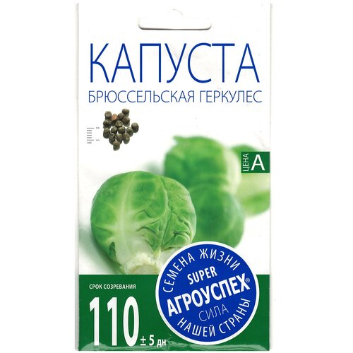 ������ ������ ������ ��������� 