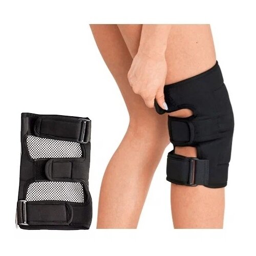 ������ ������ BIOMAG ���������� ������������ � ���������� ��������� Biomagnetic, ������ ����