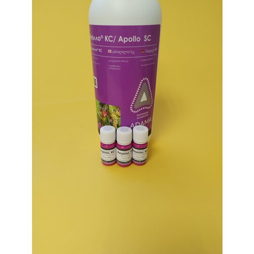 ������ ������ �������� ������ 3 �� �� 10 �� ����