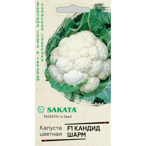 ������ ������ ������ ������� ������� ������ ���� F1, 15��, ������, ������� ����� � �������, Sakata ����