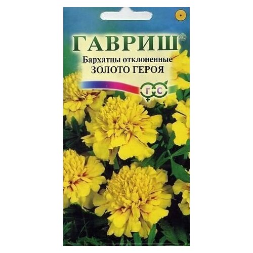 ������ ������ ������ �������� ����������� (�������) ������ �����, 0,1�, ������ ����