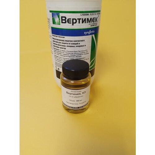 ������ ������ ���������� �������� 100 �� ����