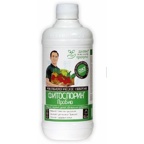 ������ ������ ���������� ������ 500�� ����