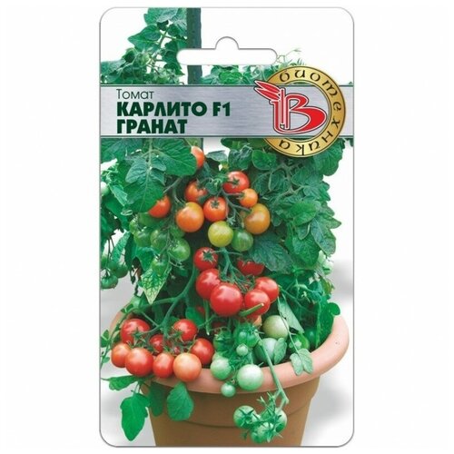 ������ ������ ������� ����� 