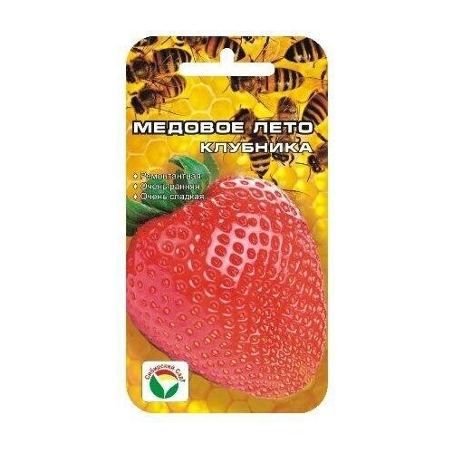 ������ ������ ������� ���� 5�� �������� (��� ���) ����