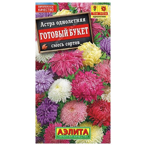 ������ ������ ����� 