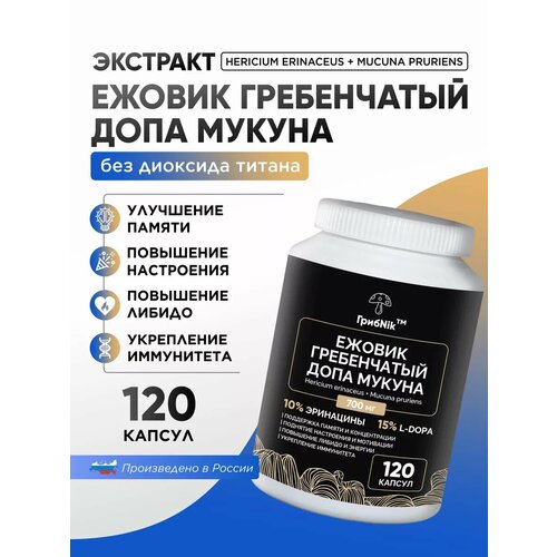 ������ ������ ������ ����������� + ������� ����� 120 �� ����