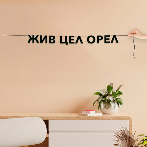 ������ ������ �������� �������� �� ����, ���� - ���� ��� ����, ������ ��������� ��������. ����