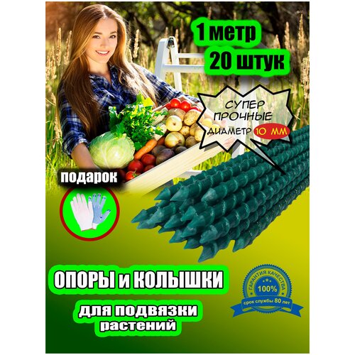 ������ ������ ������� ������� ����� ����������� �������������� ����� 100 ��, ������� 10 ��, �������, 20 �� � �������� ����