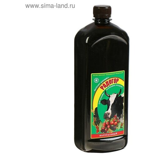 ������ ������ �������� �������� 