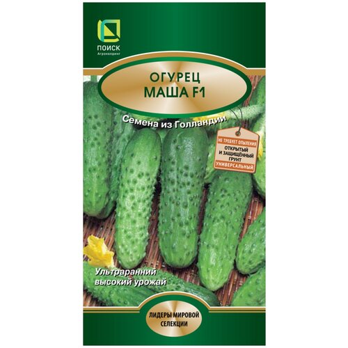 ������ ������ ������ ����� ������ ������� �������� ������ ���� F1 12 ��. ����