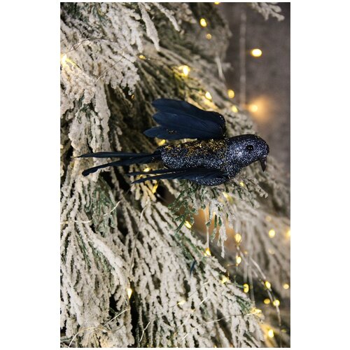 ������ ������ ������� ������� ������ �� ���� 18��, ������ ����