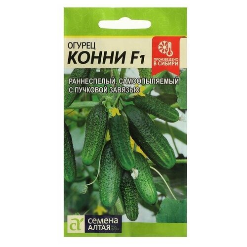 ������ ������ ������ ������ 