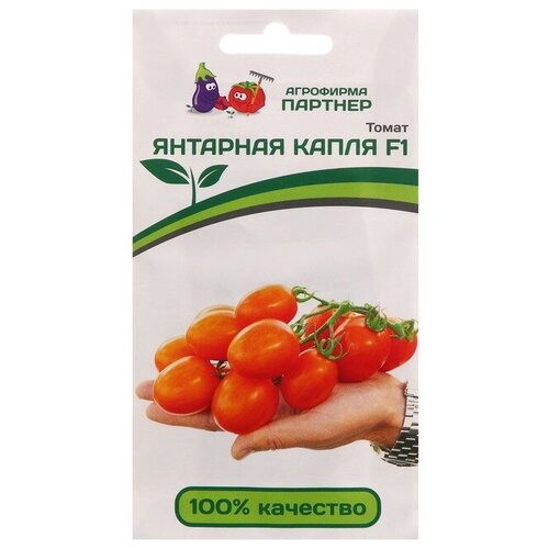 ������ ������ ������ ����� 