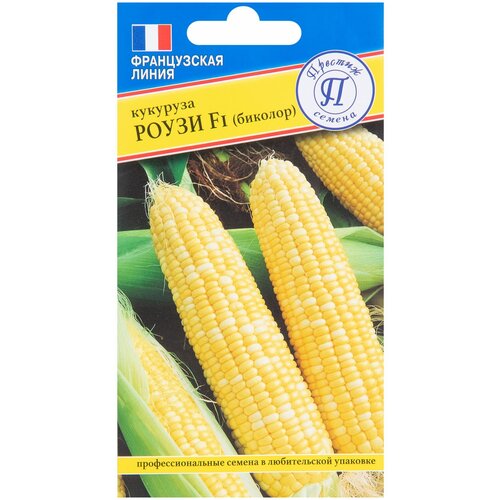 ������ ������ ������ �������� ������� ����� F1 10 ��. ����