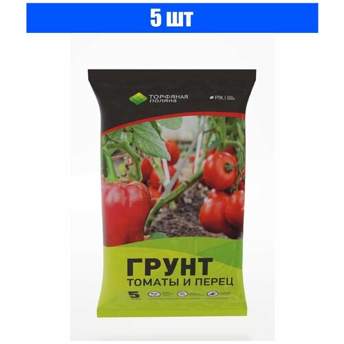 ������ ������ ����� �������� ������ ��� ������� � ������, 5 � ����