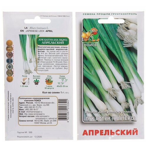 ������ ������ ������ ����� ��� ����� ���������� 1 � ����