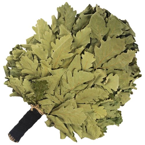 ������ ������ ������� ����� 