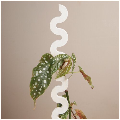 ������ ������ ����� ��� �������� �������� 