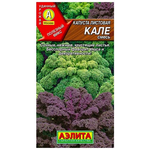 ������ ������ ������. ������� �������� 