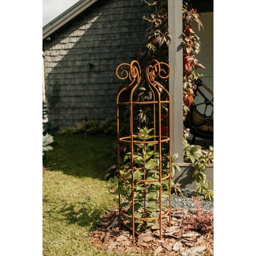 ������ ������ ������� �����-��������� ��� �������� ��������� ����