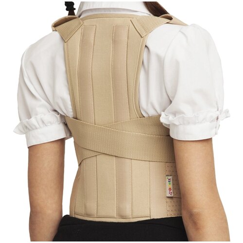 ������ ������ ��������� ������ Orlett TLSO-250(P), ������ L, ���� 140-160, ������� ����