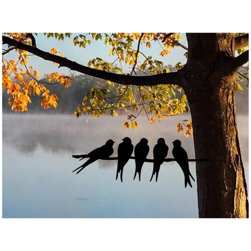 ������ ������ ������� ������ �� ������� ����� �� ����� ����