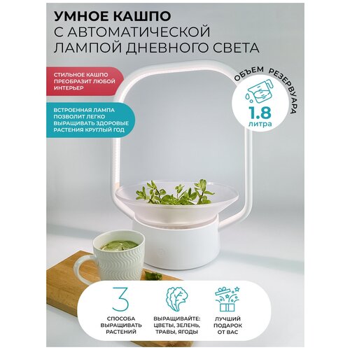 ������ ������ ����������� ���������- �������������� ��� ��������/ �������� ������� �����/ ����� ��� Vegebox V-Basket ����� ��� �������� � ������� ����