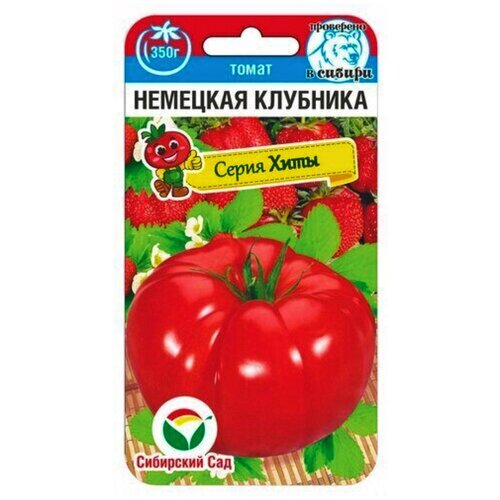 ������ ������ ������ ����� �������� �������� (20���) ����