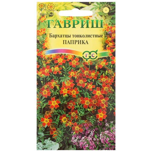 ������ ������ ������ ������ �������� ������������ ������� 0,05� ����