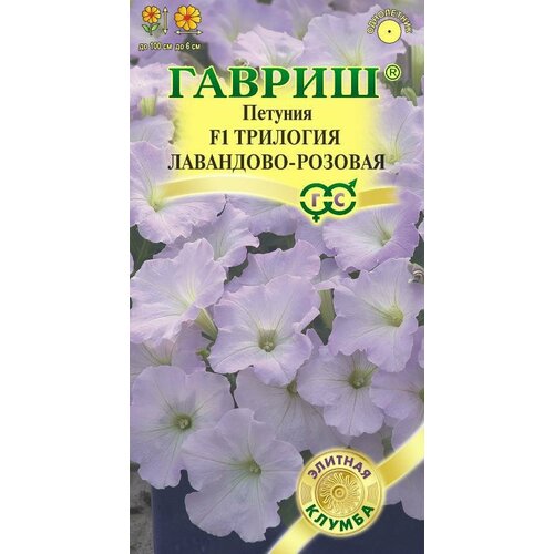 ������ ������ ������ ������� �������� ��������� ������� F1 ��������� 4�� ��� 100�� (������) ������� ������ ����