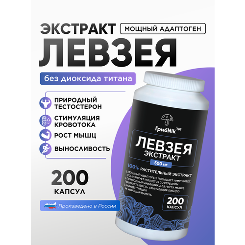 ������ ������ �������� ������ ������� ������ ��������� 200�� 500 �� ����