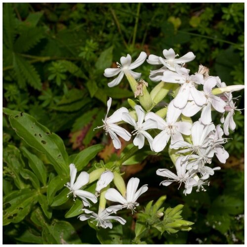 ������ ������ ������ ������ ��������� ����� ������������� 20 ��. ����