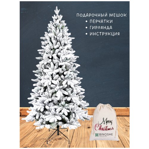 ������ ������ ���� ���������� ����������� 210 �� Bourget ����