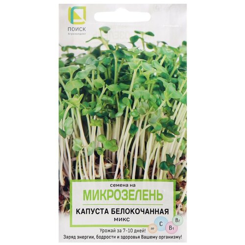 ������ ������ ������ �� ����������� ����� ������� ������������ ���� 5 � ����