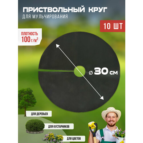 ������ ������ ������������ ���� ��� ������������� 100 ��/�2, ������� 30 ��, 10 �� ����