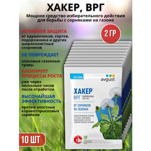 ������ ������ �������� �� �������� �� ������ �������� ����� 2 �, 10 �� ����