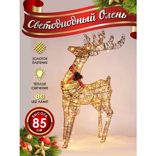 ������ ������ ����� ���������� ������������ ���������� 80 �� ������� ����